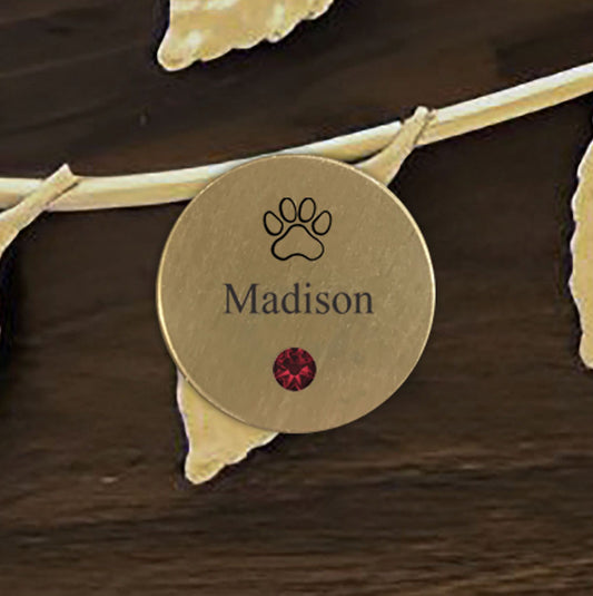 Disk - Pet - Gold - Name/Stone