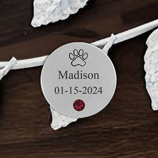 Disk - Pet - Silver - Name/Date/Stone