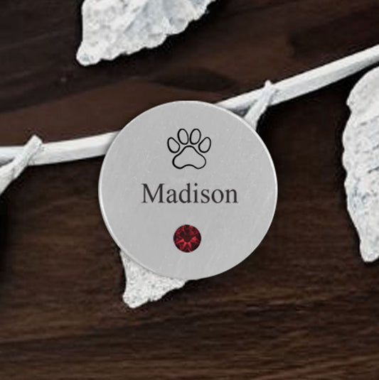 Disk - Pet - Silver - Name/Stone